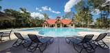 23411 Timberwood Grove Court - Photo 47
