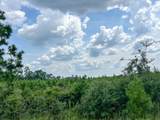 4 County Road 235 - Photo 12