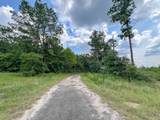 4 County Road 235 - Photo 14