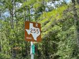 4 County Road 235 - Photo 7