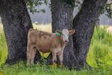 16204 Newberg Rd - Photo 7