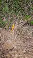 6603B Langham Drive - Photo 12