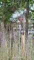 6603B Langham Drive - Photo 9