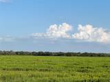 00 County Road 396 - Photo 12