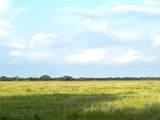 00 County Road 396 - Photo 14