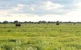 00 County Road 396 - Photo 20