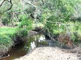 00 County Road 396 - Photo 27