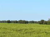 00 County Road 396 - Photo 3