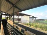 00 County Road 396 - Photo 46