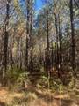 970 Josserand Rd - Photo 8