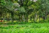 LOT 3 Hargrove Lane - Photo 6