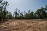 000 County Rd 2082 - Photo 3