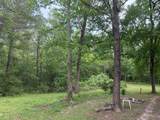 Lot 34 Gov Latham Circle - Photo 11