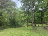 Lot 34 Gov Latham Circle - Photo 7