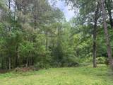 Lot 34 Gov Latham Circle - Photo 9