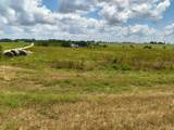 59 County Road 203 - Photo 2