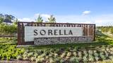 20911 Carob Tree Lane - Photo 7