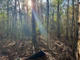 2694 County Road 4020 - Photo 13