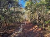 2694 County Road 4020 - Photo 6