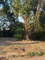 3348 Sanders Street - Photo 2