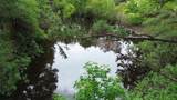 7538 Fm 2022 - Photo 42