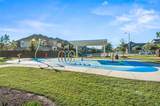 21212 Palm Arbor Drive - Photo 36
