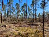 02 Boontown Road - Photo 4
