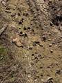 02 Boontown Road - Photo 8