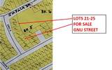 Lot 23 Gnu Street - Photo 32