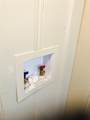 1704 Sam Wilson Street - Photo 9