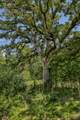 3208 W State Highway 21 - Photo 20