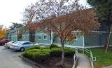 115 Hulbush Ln - Photo 3