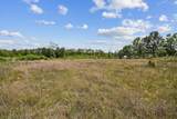 0 Farm To Market Road 1314 - Photo 4
