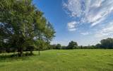 45AC Cr 223 - Photo 2