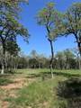 4655 Krischke - Photo 15