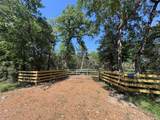 4655 Krischke - Photo 17