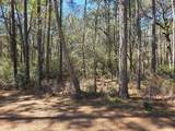 lot 20 Hackberry Drive - Photo 1