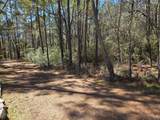 lot 20 Hackberry Drive - Photo 3