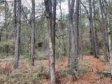 lot 20 Hackberry Drive - Photo 4