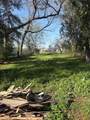 505 Elgie Street - Photo 6