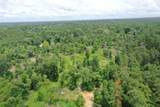 TBD Snell Road - Photo 13