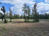 4 Highway 103 - Photo 7