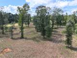 4 Highway 103 - Photo 9