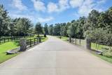 10317 Crown Ranch Boulevard - Photo 4