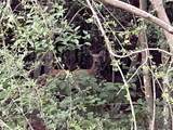 0000 Evergreen Lot 2 Fm 362 Road - Photo 17