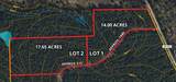 0000 Evergreen Lot 2 Fm 362 Road - Photo 2