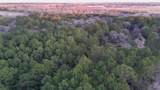 0000 Evergreen Lot 2 Fm 362 Road - Photo 21