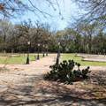 453 Washington Street - Photo 11