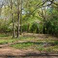 453 Washington Street - Photo 15