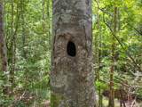 TBD Hickman Rd - Photo 16